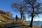 22 Dalla mulattiera alla strada silvo-pastorale Monte Alino 